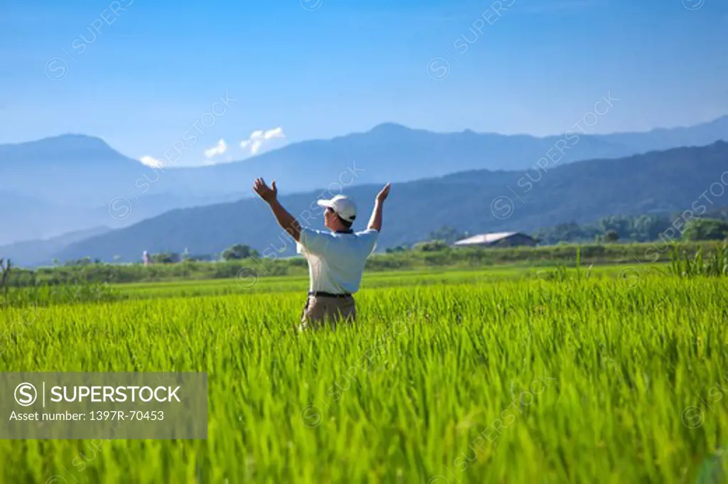 Elderly farmer standing in rice field, deep breathing