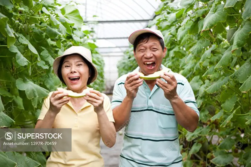 Couple eating melon in greenhouse, laughing