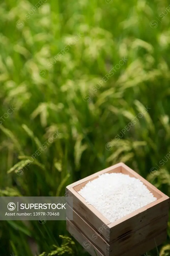 A wooden box of rice