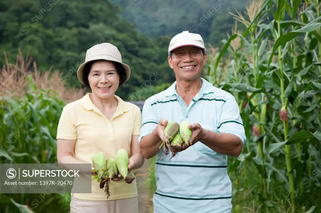 Couple holding corns in corn field