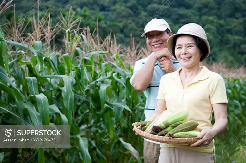 Couple in corn field, woman holding a sieve of corns