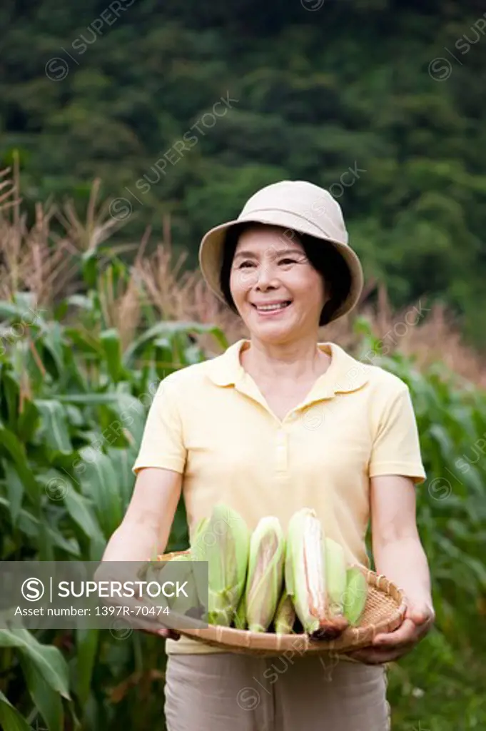 Mature woman holding a sieve of corns in corn field, smiling