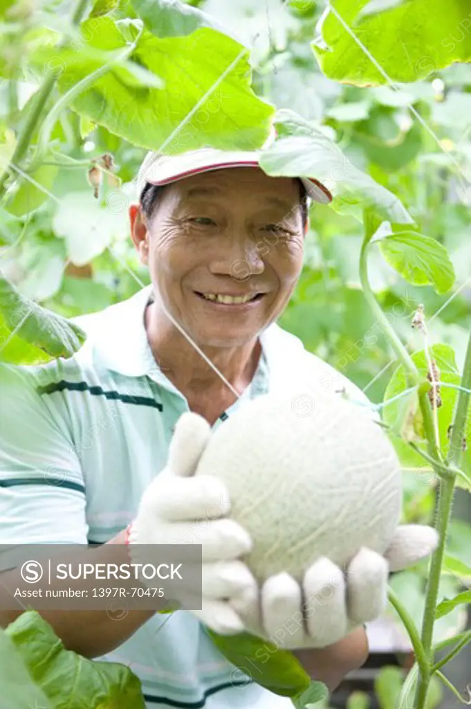 Elderly farmer looking at a melon being held in hands, smiling