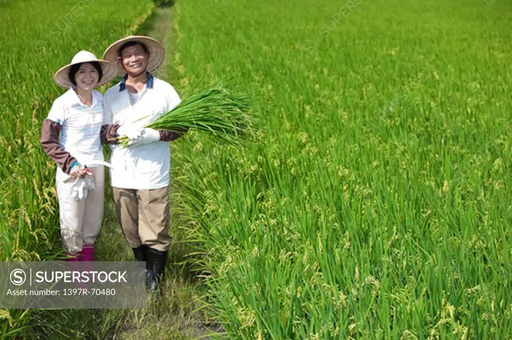 Farmer couple in rice field