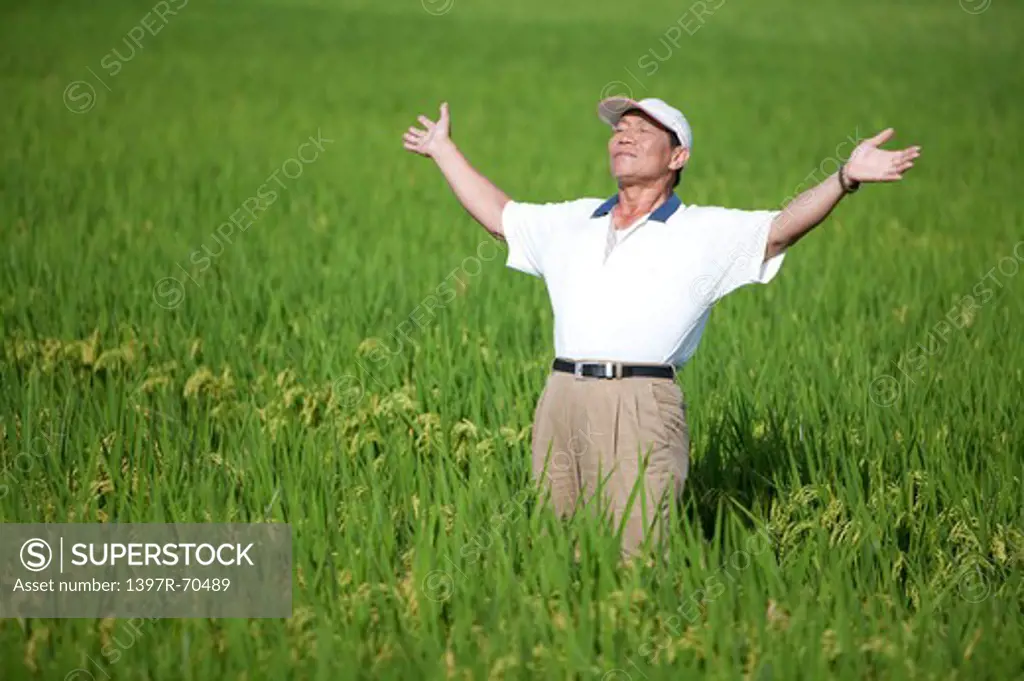 Elderly farmer taking deep breath in rice field