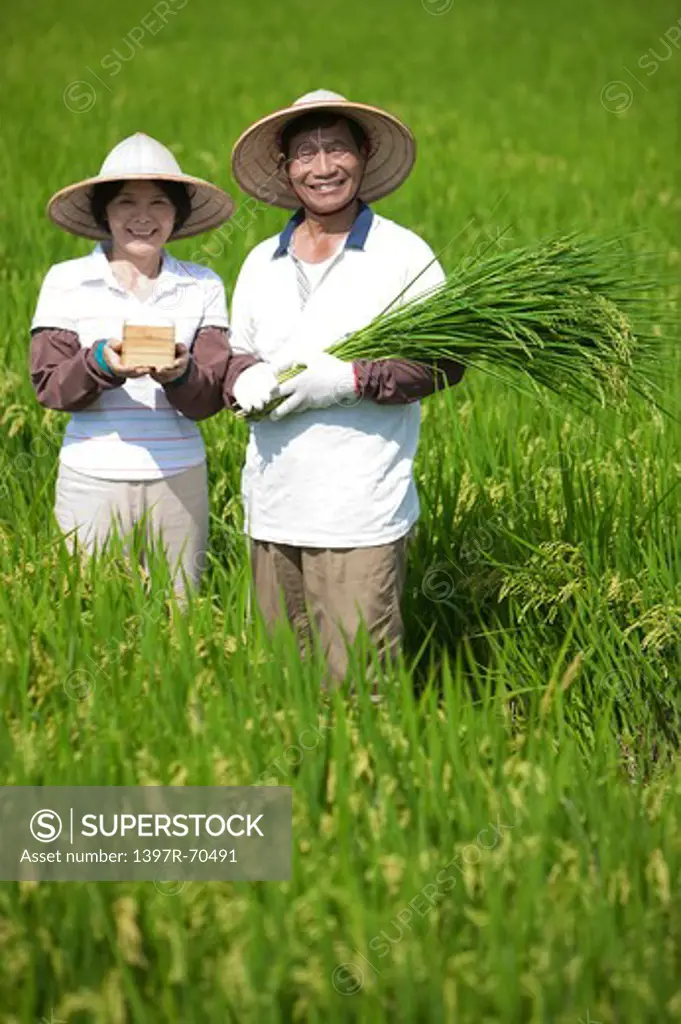 Farmer couple holding rice plants and a box of rice in rice field