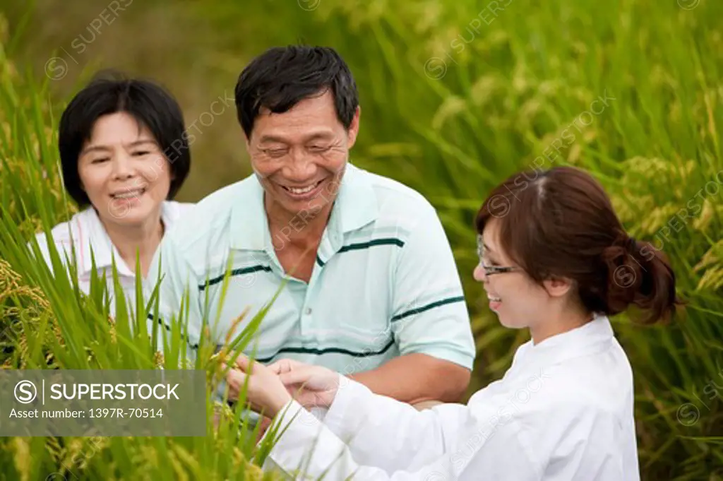 Farmer couple with expert in rice field
