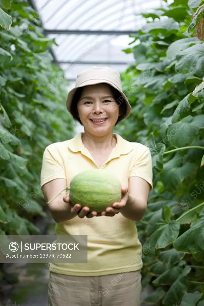 Mature farmer holding a melon in greenhouse, smiling, giving