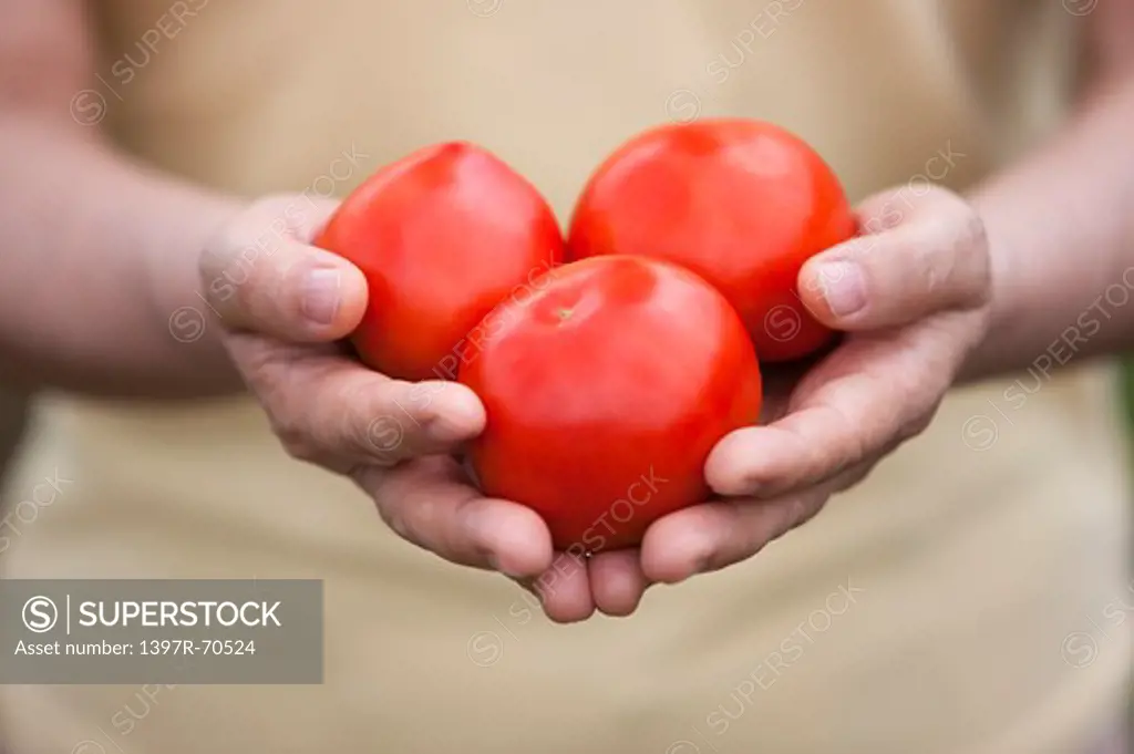 Woman hands holding tomatoes