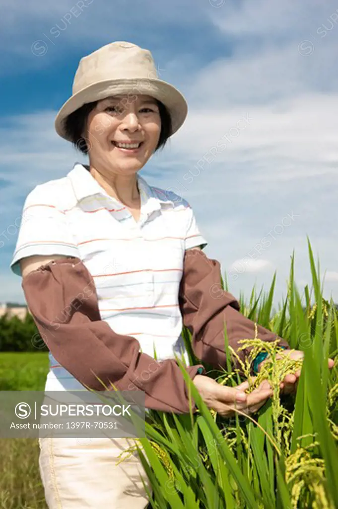 Mature farmer showing rice plants, smiling