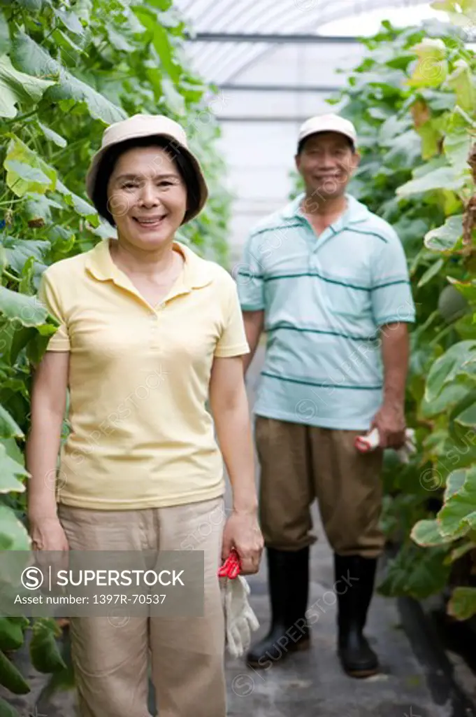 Farmer couple in greenhouse