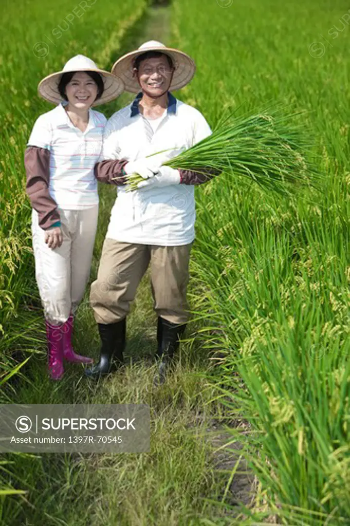 Farmer couple standing in rice field, man holding rice plants