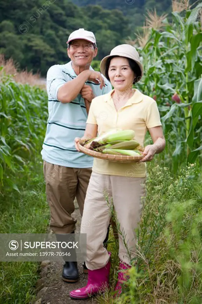 Farmer couple in corn field, woman holding a sieve of corns