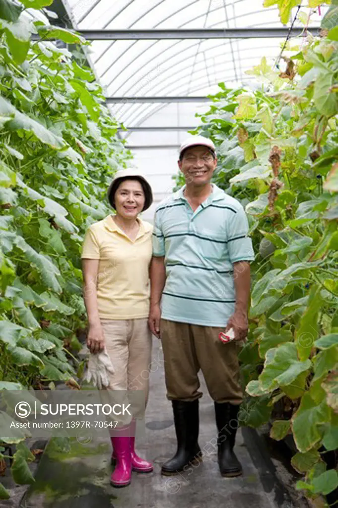 Farmer couple standing in greenhouse