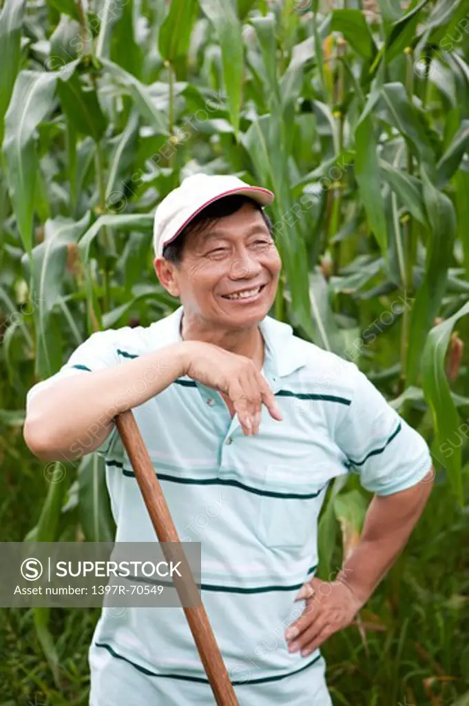 Elderly farmer leaning on hoe in corn garden, smiling
