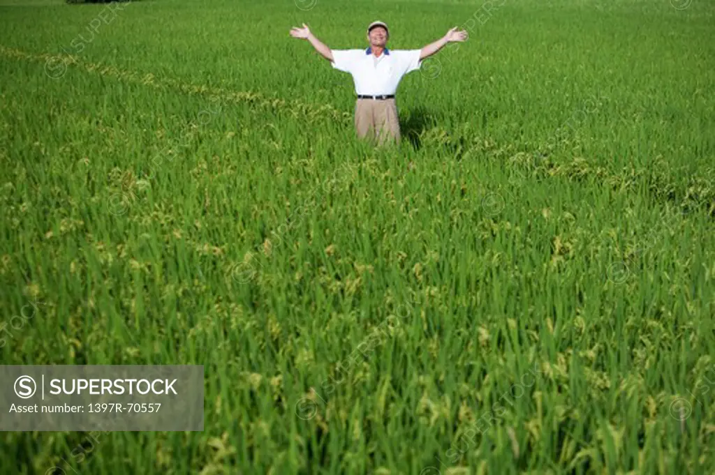 Elderly farmer taking deep breath in rice field