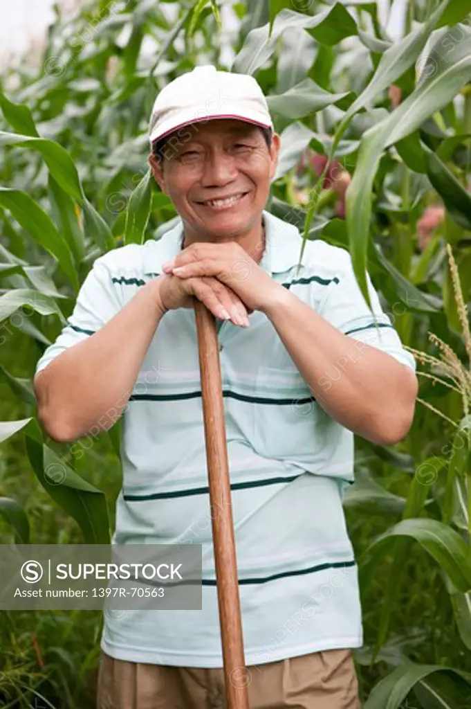 Elderly farmer leaning on hoe in corn garden, smiling