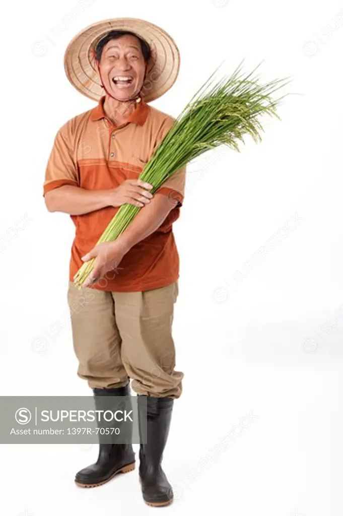Elderly farmer standing and holding rice plants, laughing