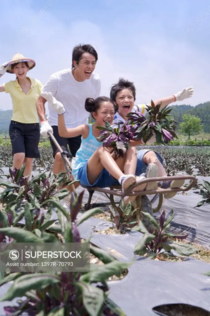 Young family playing with push cart in the vegetable garden and smiling happily