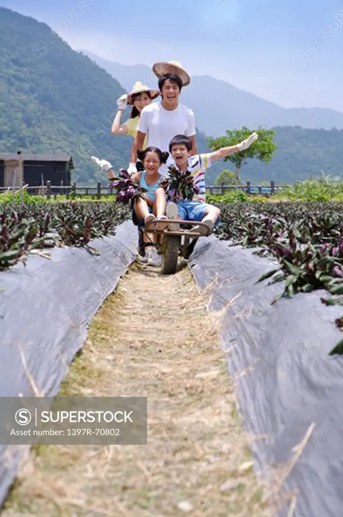 Young couple with two children playing with push cart in the vegetable garden and smiling happily