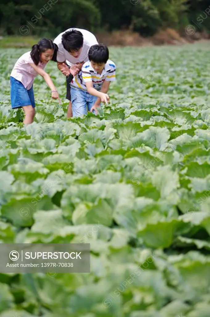 Young man with two children looking down together in the vegetable garden