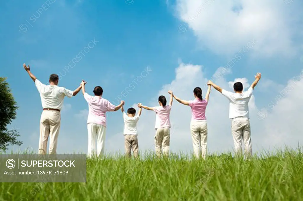Multi-generational family standing in a row on lawn, arms up, holding hands, rear view