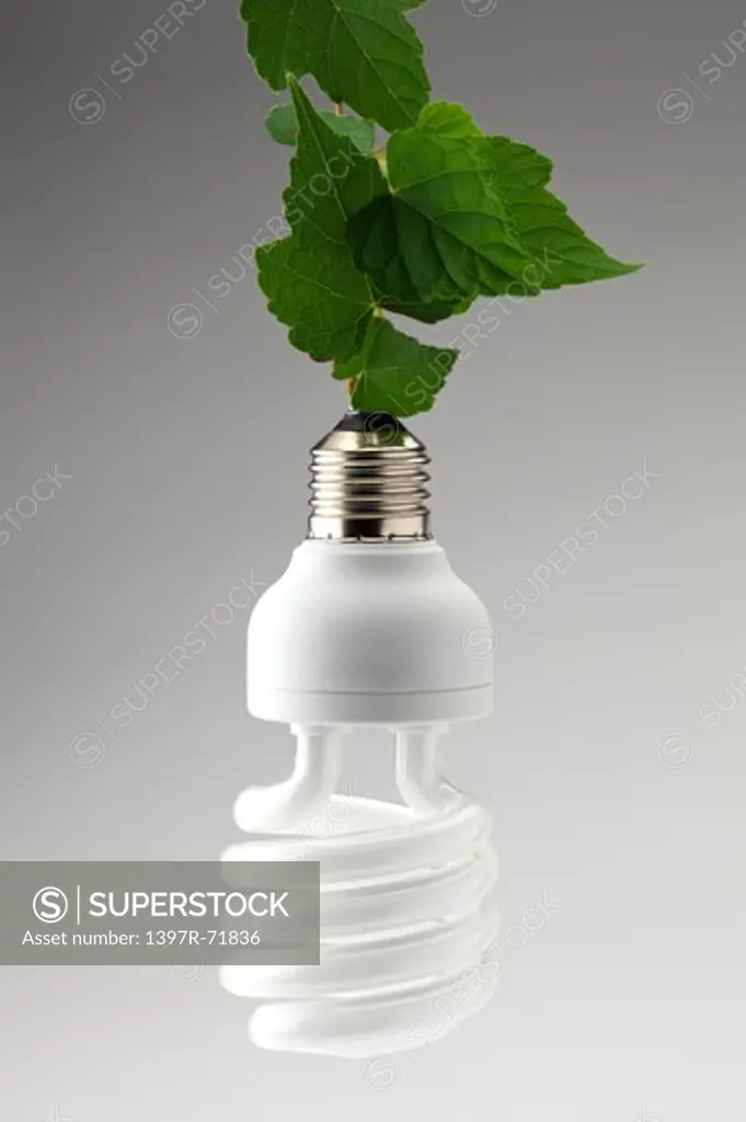An energy saving lightbulb powered by a vine