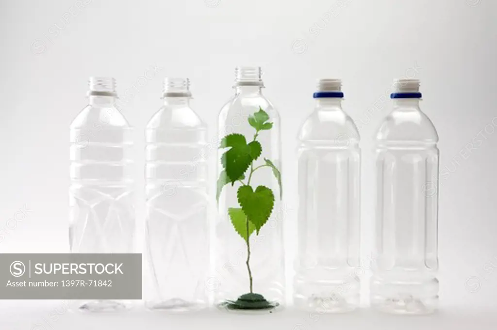 Five plastic bottles in a row and the one in the middle has a seedling planted in