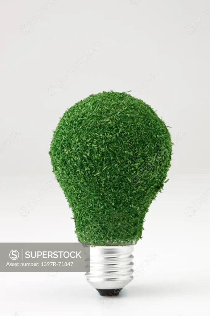 Light bulb covered in moss