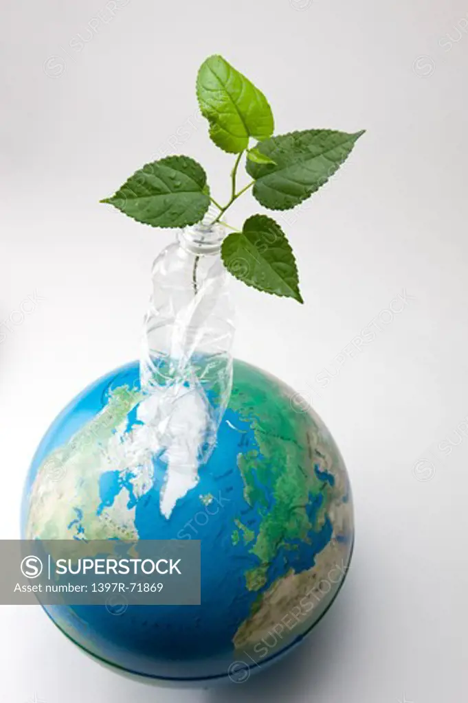 A distorted plastic bottle with a branch in it on top of a globe