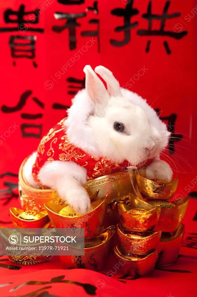 Rabbit on gold ingots with Chinese couplets in background