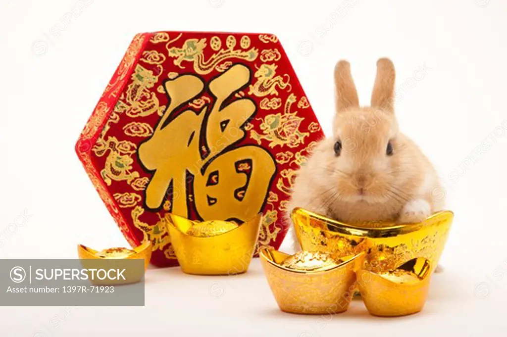 Rabbit, ingots and Chinese New Year banner with Chinese character