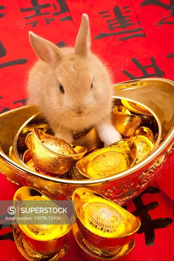 Rabbit leaning on gold ingots on Chinese couplets