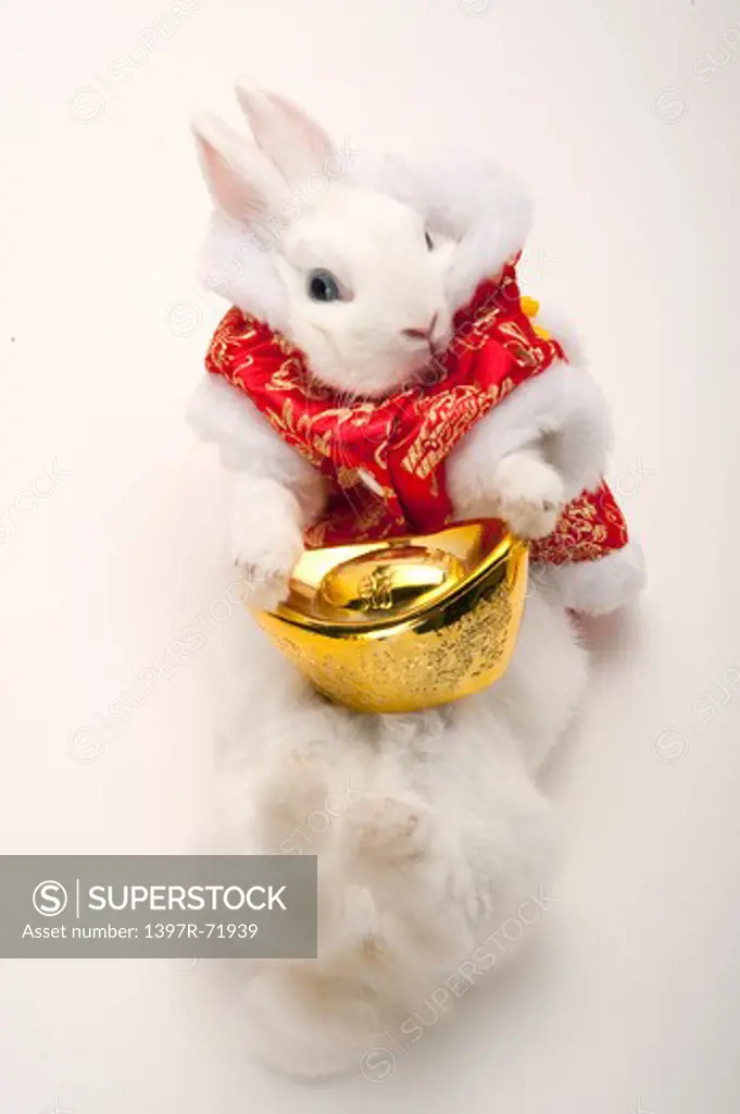 Rabbit in cotton-padded jacket holding gold ingot