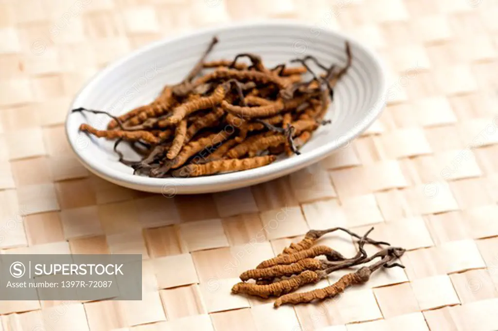 Chinese Caterpillar Fungus, Chinese Herbal Medicine