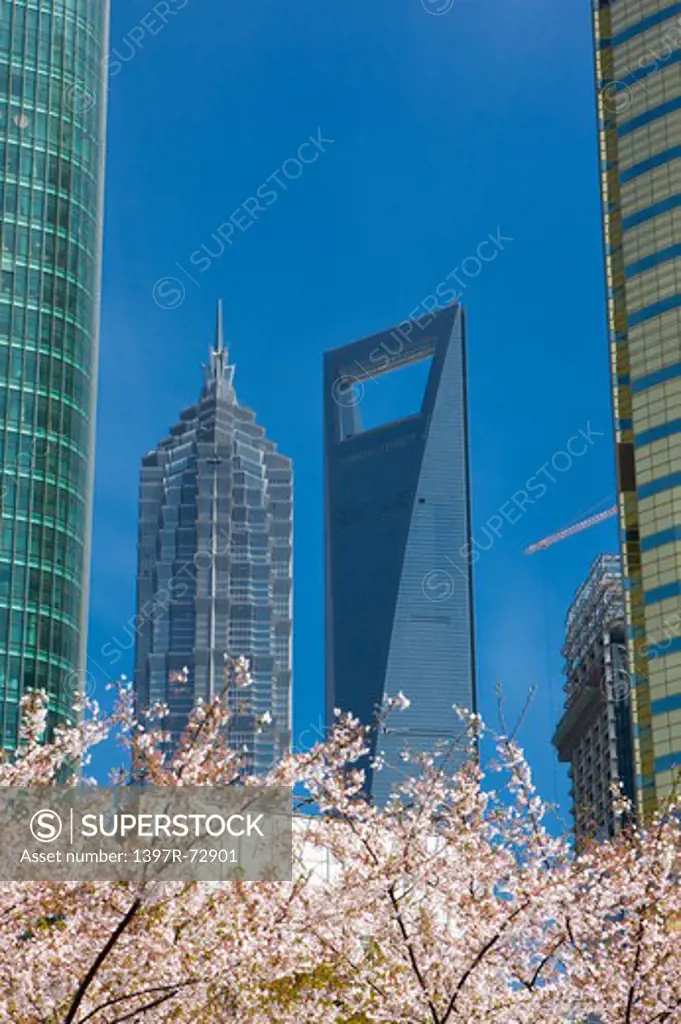 China, Shanghai, Jin Mao Tower, Shanghai World Financial Center