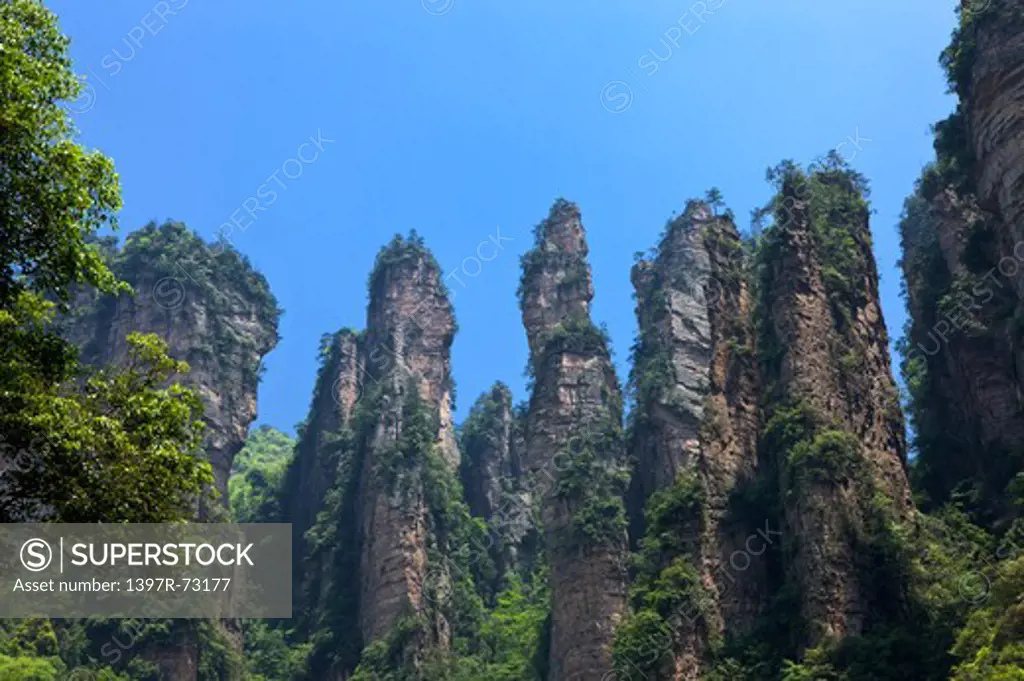 Mt Tianzi, Rock Formation like General Assembly, Zhangjiajie, Hunan Province, China, Asia
