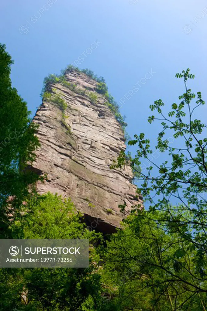 Golden Whip Rock, Zhangjiajie, Hunan Province, China, Asia
