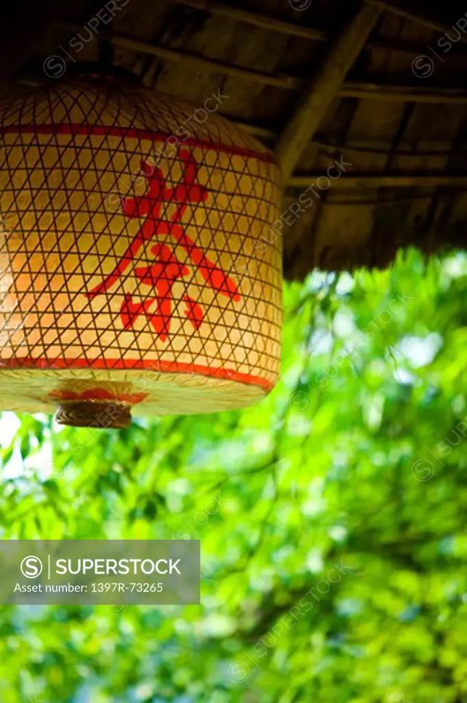 Lantern, Chinese Lantern, Zhangjiajie, Hunan Province, China, Asia