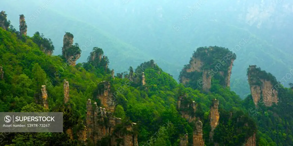 Mt Tianzi, Rock like a fairy presenting flowers, Zhangjiajie, Hunan Province, China, Asia