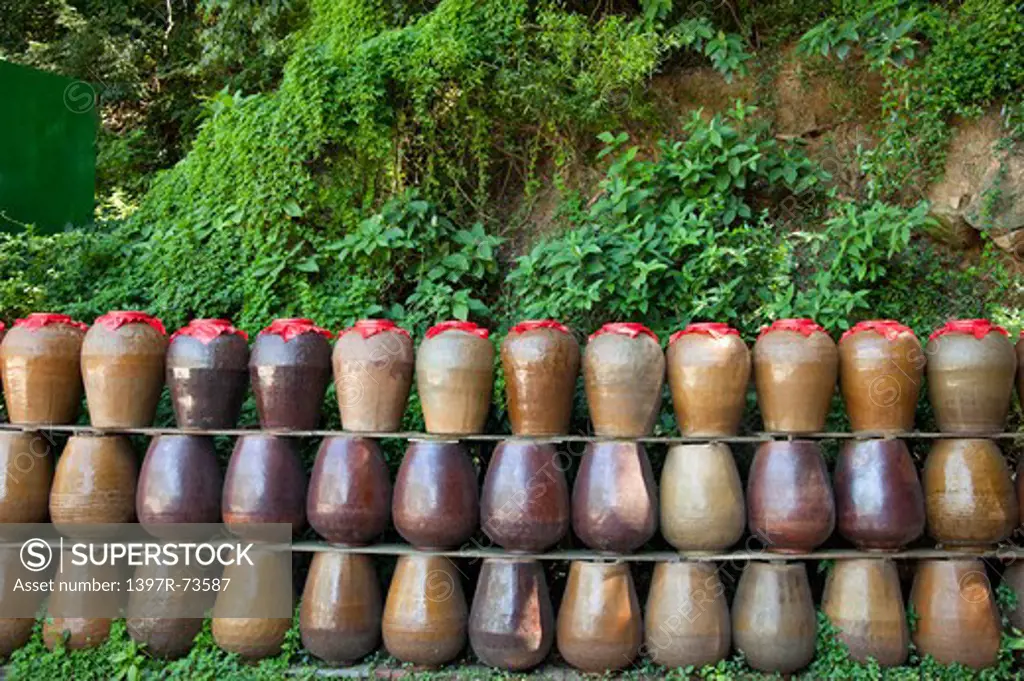 Wine jars in a row