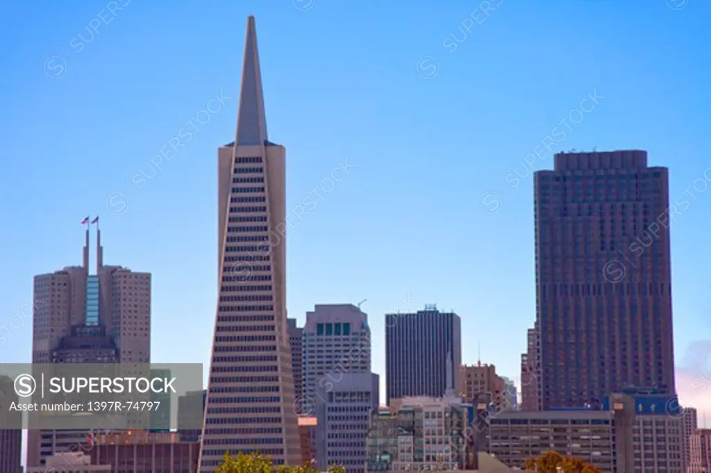 Transamerica Pyramid, San Francisco, California, USA, North America