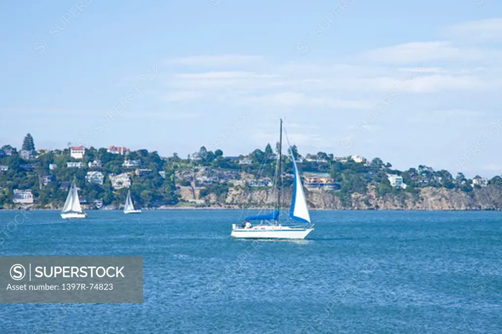 Sausalito, San Francisco, California, USA, North America