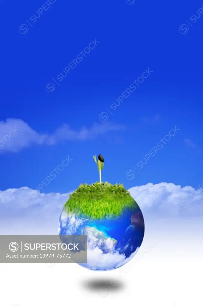 Environmental Conservation, Digitally generated image of seedling on the earth with blue sky in background