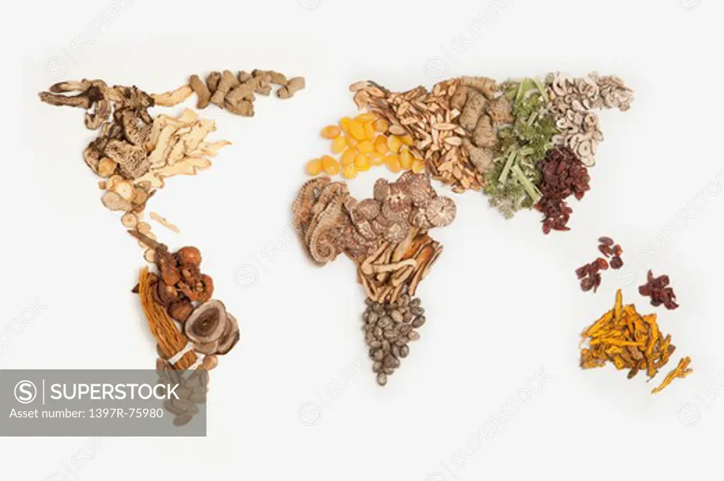 Map of world made of various Chinese Herbal Medicine