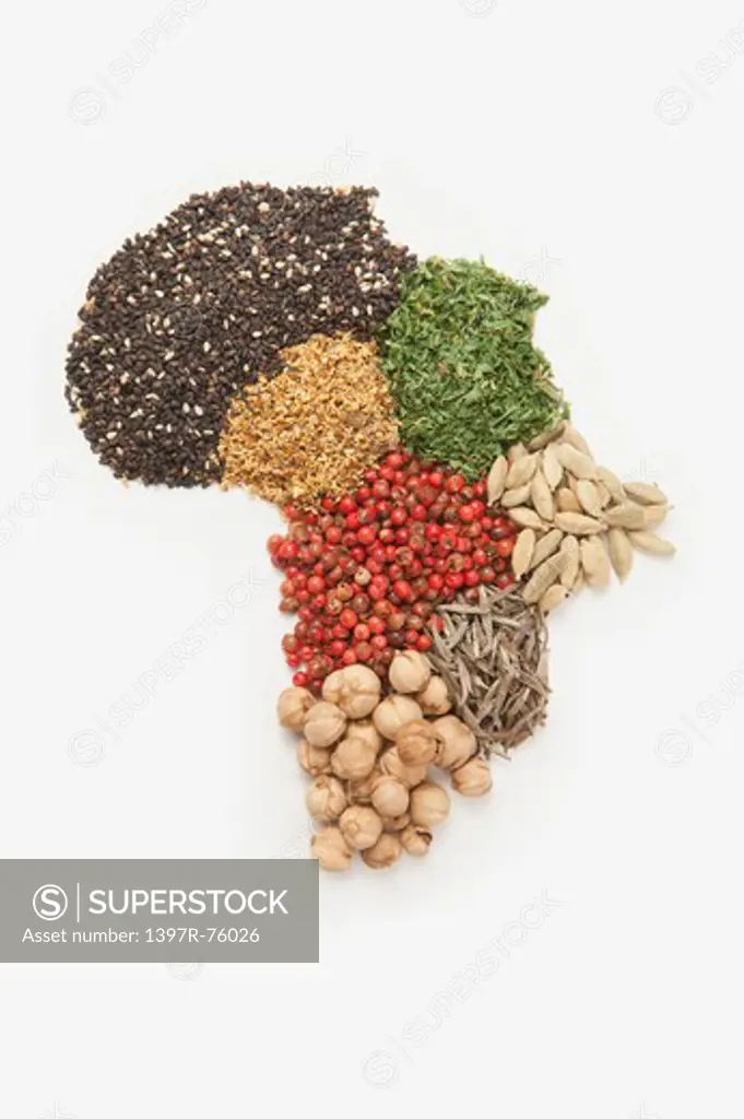 Map of Africa made of various Spices