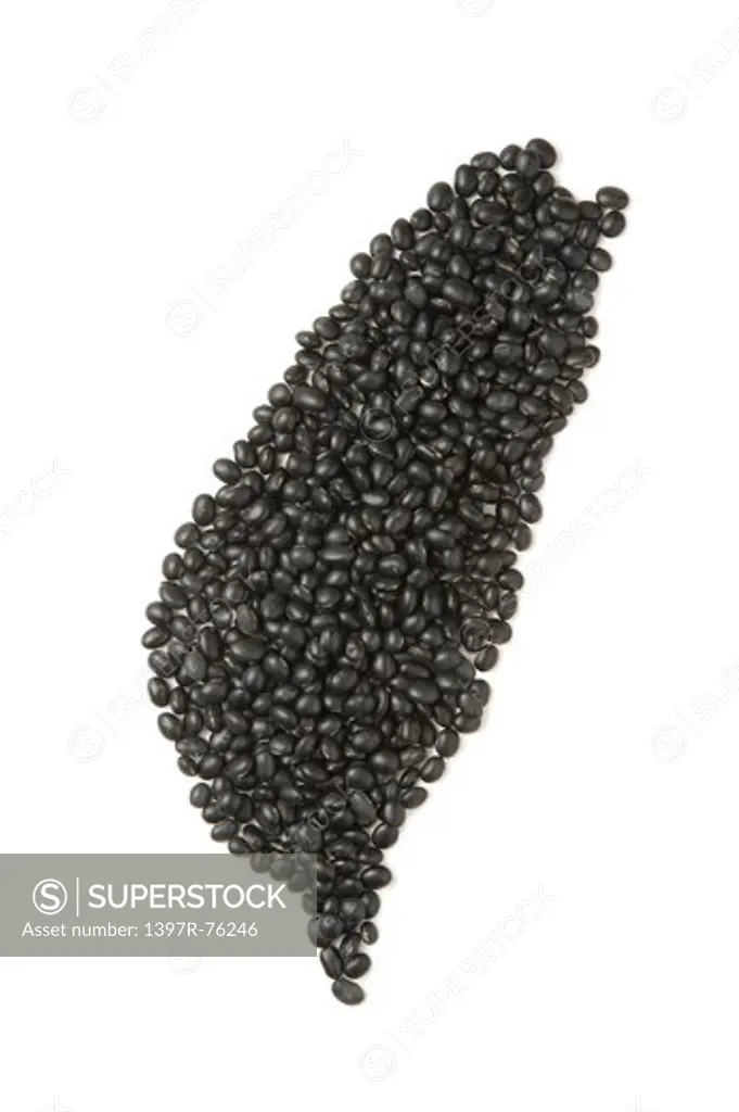 Map of Taiwan made of Black Beans