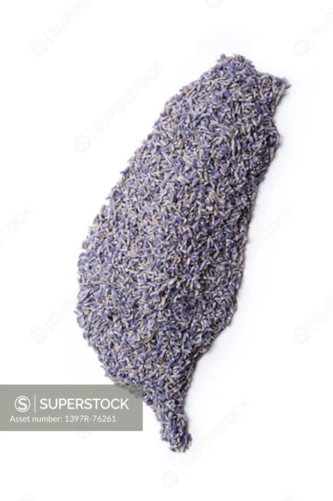 Map of Taiwan made of Lavender