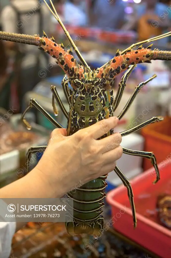 Lobster, Jhuwei, Taoyuan, Taiwan, China, Asia