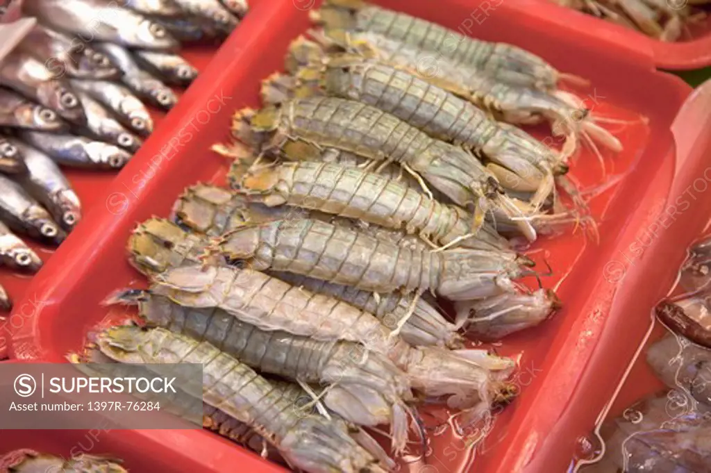 Shrimp, Jhuwei, Taoyuan, Taiwan, China, Asia